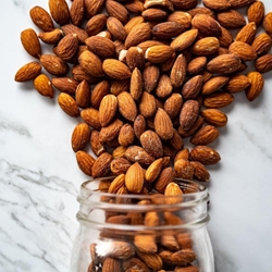 Roasted and Salted Almonds - 02090 