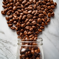 Chocolate Covered Raisins - 06110 
