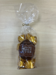 Chocolate Peanut Butter Bites 