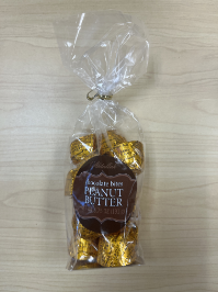 Chocolate Peanut Butter Bites 