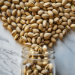 R&S In-Shell Pistachios - 16 oz - 02070 - 2070